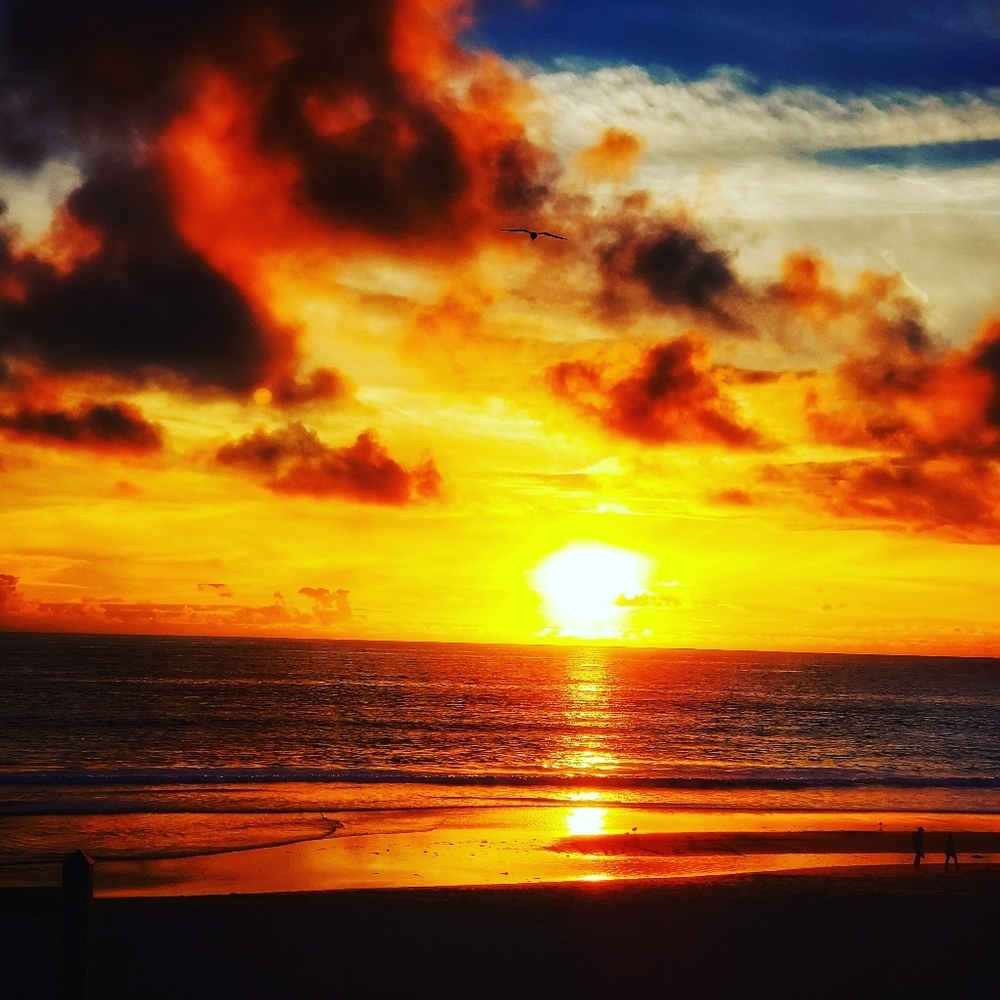 Meet your Posher, Hugo